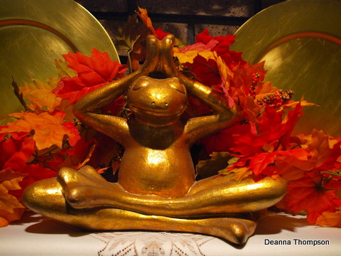 Meditation Frog PB087383